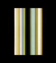 #4360, Flicker (Series 1),Shawn Rocco