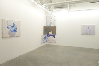 Exhibition view,Tang Yongxiang