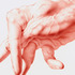 20120709094040-hand