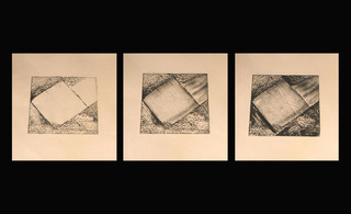 Transition part I, II, III,Diana Furlong