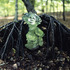 20120709161641-5_impermanent_collection__la_n_gresse__j
