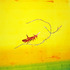 20120709213126-tmhella_blownaway