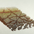20110421090839-cropfracturedslab