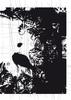 20120710161547-au_noir_k_et_d_web