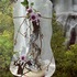 20120712033703-facing_west_looking_east_elizabeth_bryant_water_creature