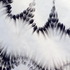 20120712204402-details_0024parallelsm
