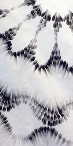 20120712204402-details_0024parallelsm