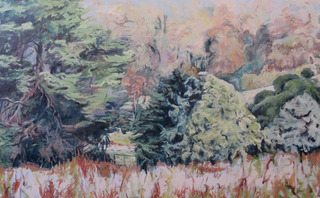 Comfort,Julie Goodwin