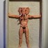 20120713154958-ganesh_carpa_website__3_