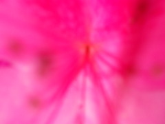 20120713210841-dscn4511