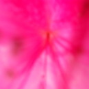 20120713210841-dscn4511