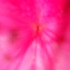 20120713210841-dscn4511
