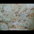 20120714023135-kathryn_arnold_muted_intel