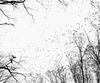 20120714103746-td