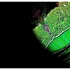 20120714184153-cronos