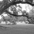 20120714213626-ano2007-041
