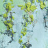 20120715030832-works_by_ng_joon_kiat