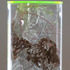 20120715222810-alexander5