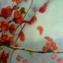 20120716081201-apple_blossom_2012_oil_on_canvas_45x35_cm