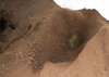 20120717001448-phpthumb_generated_thumbnailjpg