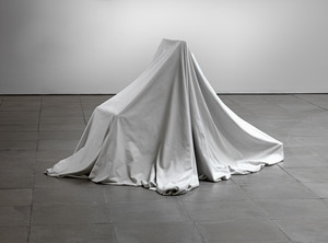 20120717093011-ryan_gander__i_is