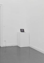 Kangaroo and Lobster (installation view Untitled (Tea Party),Darren Bader