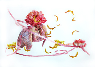 Chicken with Dentures ,Monika Malewska