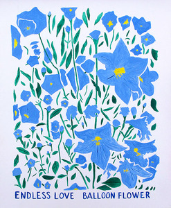 20120717235136-balloon-flower-sa