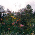 20120717235410-horizontal-garden__giverny-sa