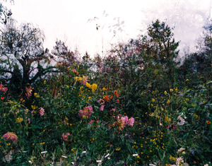 20120717235410-horizontal-garden__giverny-sa