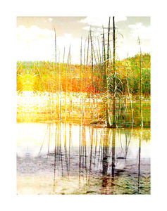 20120718014906-reflections-on-colour_-2012