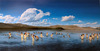 20120718125215-untitled__lake_mcdonald_