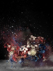 Blow Up: Untitled 4,Ori Gersht