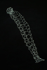 Chrysalis,Lucien Saxton