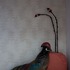 20120719220303-shadenmousa07