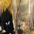 20120719220948-shadenmousa03