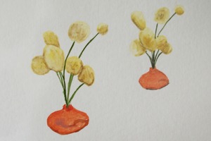 20120719222148-plantstudies07cropped