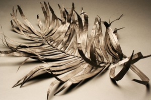 20120719222325-plantstudies20