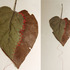 20120720004230-tjovancevic_ikrojeno-ikorjeno_w_detail_300dpi