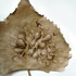 20120720010813-tjovancevic_innerview_i_150dpi