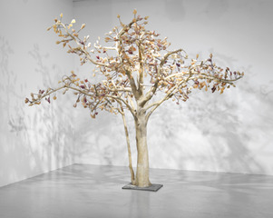 Solarum Series I,Bharti Kher
