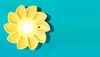 20120720095105-shop_online_image_-_little_sun