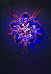 Star Compulsion,Saya Woolfalk