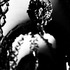 20120722012809-capuchin007