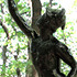 20120722155756-mercury_thumbnail