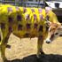 20120722173831-warhol_cow_1_72
