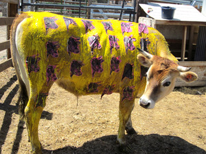 20120722173831-warhol_cow_1_72