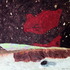 20120722231602-meteor_night2_2