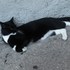 20120723030207-dscn8504