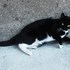 20120723032355-dscn8505